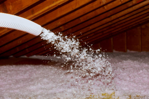 Best Insulation Maintenance and Repair in Ashville, AL